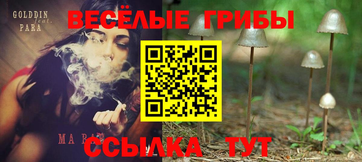 Галлюциногенные грибы ЛСД  Вход с VPN  Псилоцибиновые грибы Cubensis  Долгопрудный 